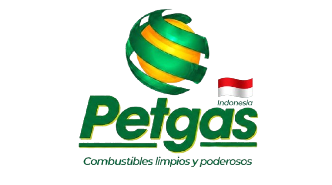 PETGAS Logo